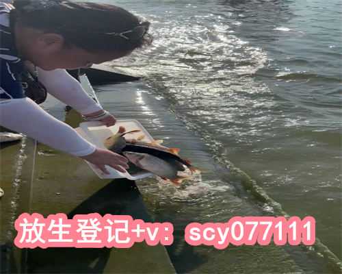 最佳放生日子是什么时候，易经最早起源于什么时候？