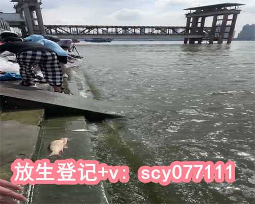 郑州所有放生群，河南省宗教界代表人士赴郑州市革命烈士陵园开展纪念活动