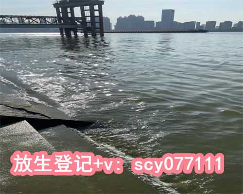 放生什么时候去好，属龙的什么时候出生比较好