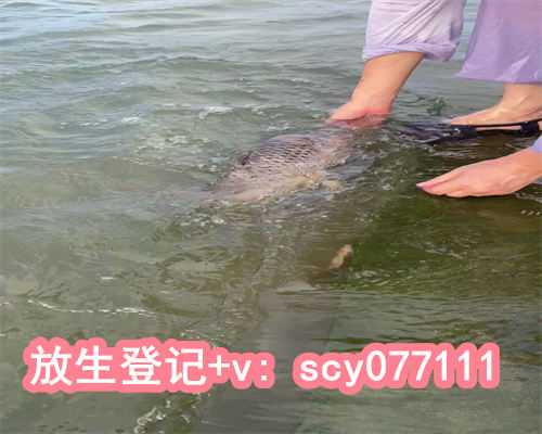 <strong>放生鱼买什么鱼好，什么是风水鱼</strong>