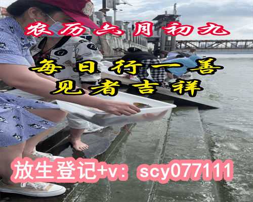 甘肃何地可以放生鸽子，甘肃喜见“万鸟绕枝”两棵树成“小鸟天堂”