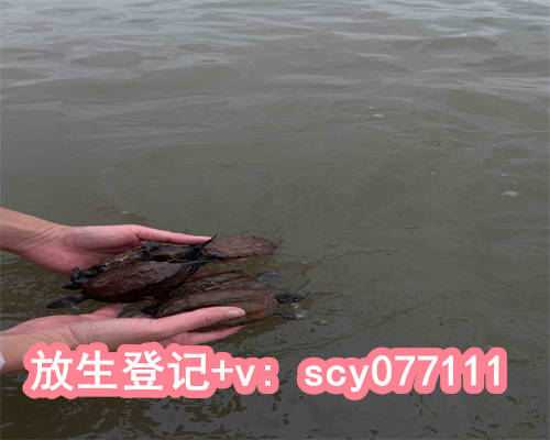 2023年农历二月哪天放生好，2023年农历腊月二十三接财神吗2023年2月4日财神吉位