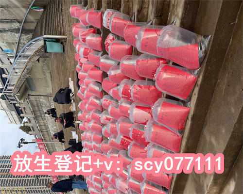 放生甲鱼到水底下了，放生到底该去哪里？