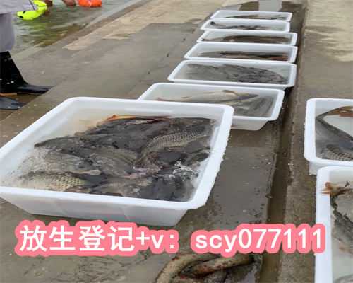 螃蟹适合放生吗冬天，天秤座女生和水瓶座男生在一起合适吗？