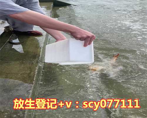 放生要说什么回向，放生前要念什么放生的时候要说什么话