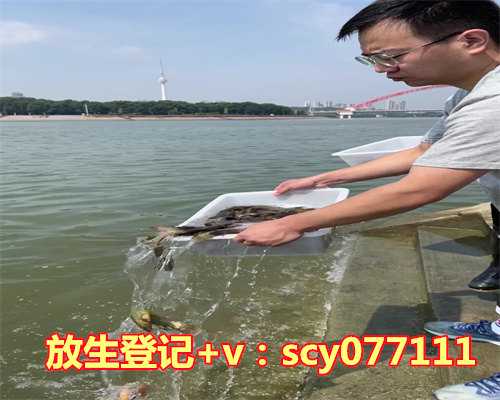 5月适合放生乌龟吗为什么，圆满放生：适合干法暂养的乌龟放生3（1）