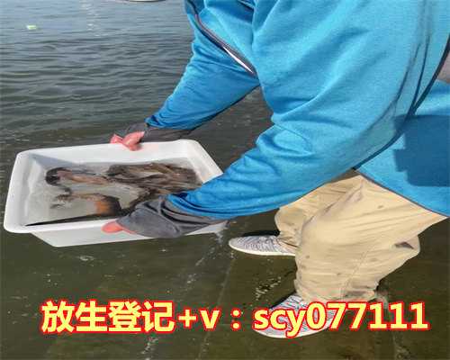 生日放生什么鱼寓意好，梦到鱼和水什么寓意