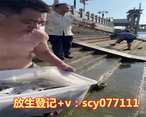 合法放生，适合带水暂养的黄颡鱼放生2