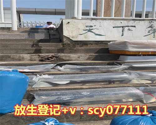 放生的鱼不走是什么预兆呀，梦见吃鸡蛋有什么预兆