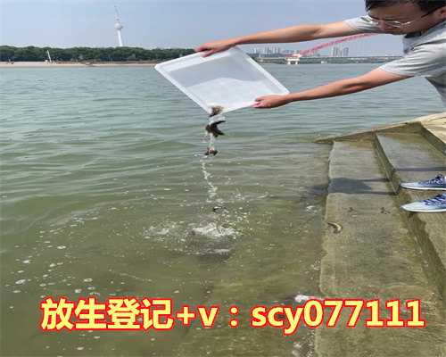 东莞东江放生位置，去过东莞观音山的，进…