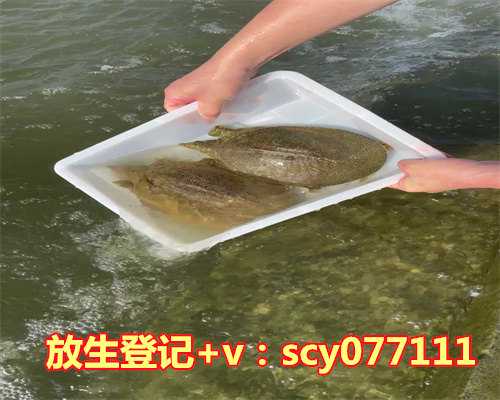 陆龟放生到哪里最合适，圆满放生：适合干法暂养的乌龟放生3（1）