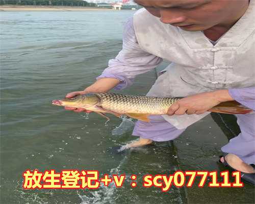 放生没成功怎么办，放生多，造成更多人去捕捞野生动物怎么办？