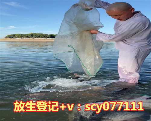 放生甲鱼寓意，晗字取名的寓意