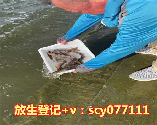 放生咒的功效与作用是什么，糙米的功效与作用