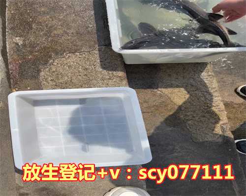 台湾山蚯蚓去哪里放生，投身麻风村教育的台湾女记者