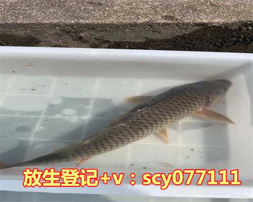 放生什么以后就不能吃什么，喝牛奶后一小时内不能吃什么