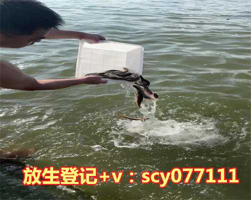 放生湖里什么容易存活，解析孕妇更容易失眠的原因是什么