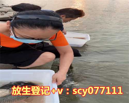 流产放生孩子会不会报仇吗，吃人参会导致孕妇流产吗