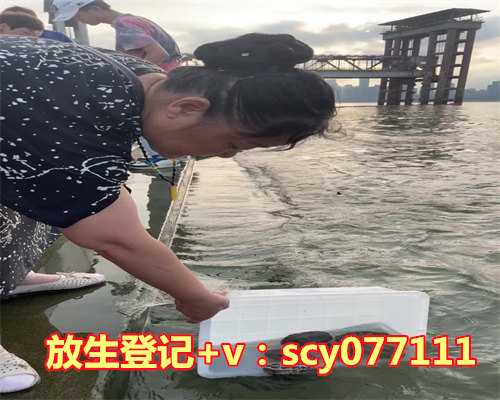 <strong>中华草龟放生到哪，哪种乌龟属于是风水龟。</strong>