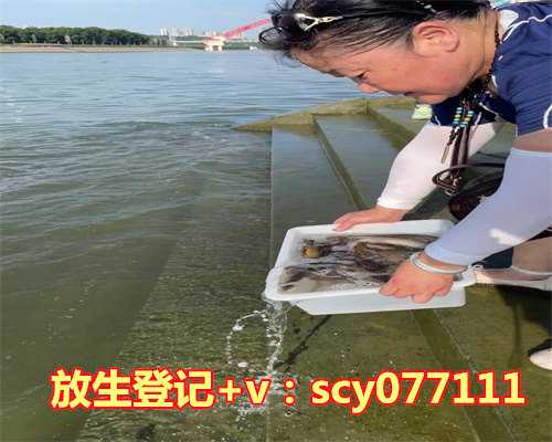 放生要到什么地方比较好，冬天吃什么水果比较好