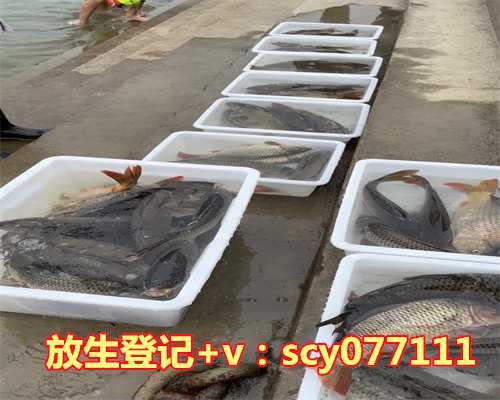 武汉放生护生团网站，4月8日零时武汉离汉通道管控正式解除