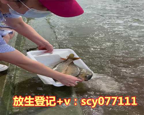 北京哪个湖可以放生鱼，老北京炸素丸子