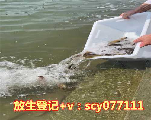 放生最好是什么鱼图片，鱼鳞片掉了是什么原因