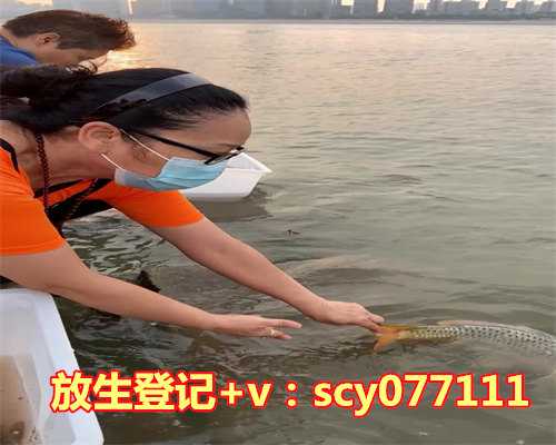 放生完了忌讳什么，放生款没有用完该怎么处理？