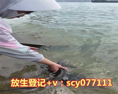 郑州放生护生团网站，河南郑州如意河捞出鳄鱼水务部门呼吁莫私自放生