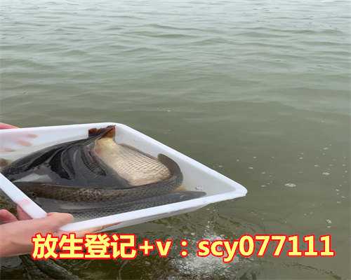 过生日放生多少钱的数字比较好，五行属木的有哪些字做名字比较好