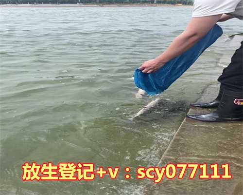 买的鲤鱼放生能活吗，放生鲤鱼的好处