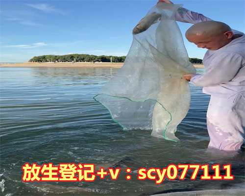 放生能不能吃荤，高血压药不能吃吃停停