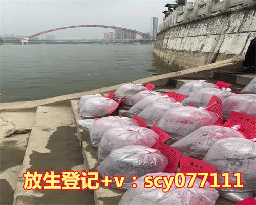 施食和放生有什么功效和作用，芦荟胶的作用和功效