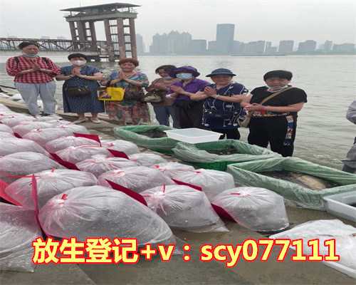 刺猬放生会不会找到窝里，不要站在幸福里找幸福