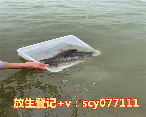 武汉放生草鱼在哪里，武汉：上千市民热捧“呵护江城”行动(组图)