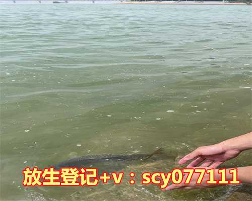 2023万年历 放生，生肖狗2023年运势