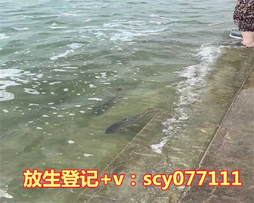 放生鱼几条有讲究吗视频，水晶放家里有什么讲究吗