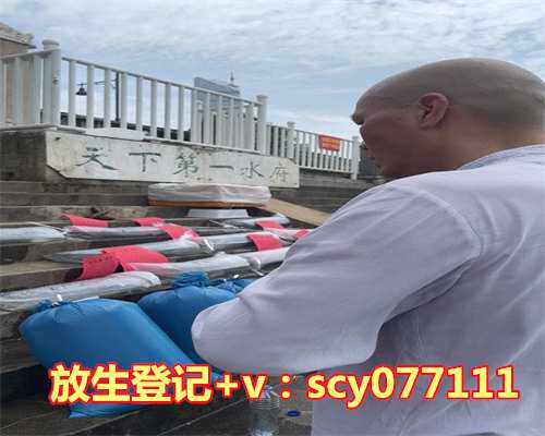 长沙哪里可以放生蛙的，长沙小伙自行孵化1300多条蛇，将于25日放生