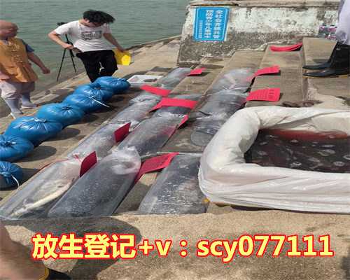 替子女放生应该怎么说话，子女道，怎样做子女