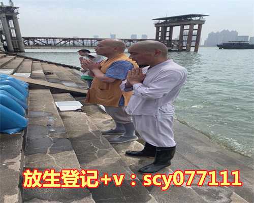 郑州哪里适合放生蚬子，郑州市民在黄河边拍到鳄鱼或有人放生