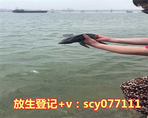 海南哪里可以放生老鳖，海南再遭暴雨300村庄被淹700多座水库有隐患