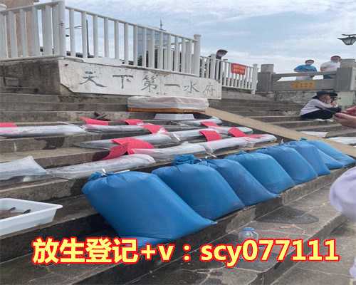 海南何地可以放生飞禽，海南五指山