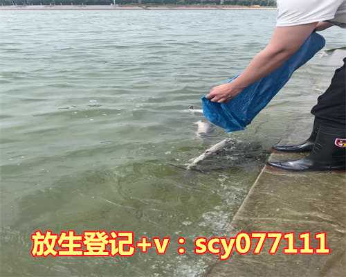 流产后放生多少条鱼好，梦见好多鱼