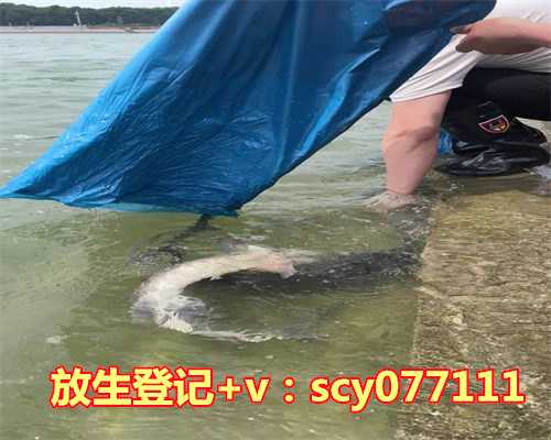 放生有灵性的动物会报恩吗，《圆满放生》：水生动物放生共性操作1