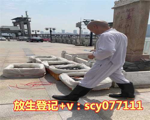 2023放生吉日时间表，2023年2月15日能出门吗出行方位与出行吉时查询表