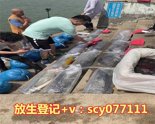 放生运气越来越好，素食主义越来越多，可是，你做好准备了吗