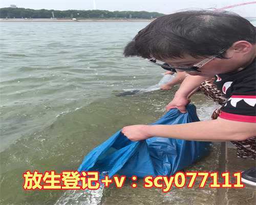 重庆哪里放生草鱼最好，重庆棒棒哥掀感动热浪