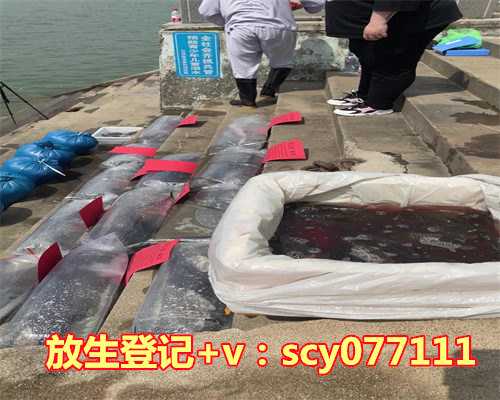 <strong>放生鱼后有人逮鱼好不好呢，梦到好多鱼和水</strong>
