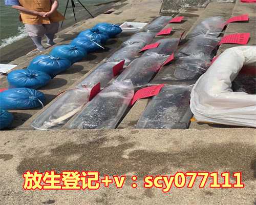 二月适合放生的日子，2023年5月适合结婚的黄道吉日办婚礼好日子