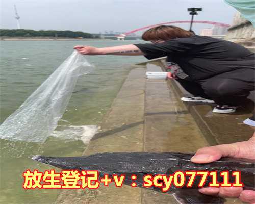 东莞哪里能放生草鱼，去过东莞观音山的，进…